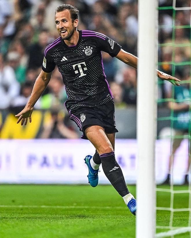 这个独特的 这个独特的