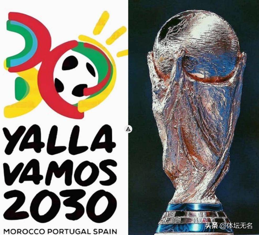 高位组织中 高位组织中